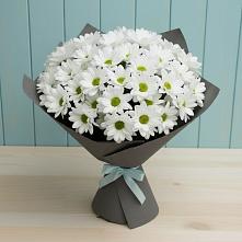 Букет цветов из:  Хризантемы #REPLACE_PRED# Майкопе