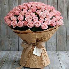 Букет 151 Роза Роуз #REPLACE_PRED# Майкопе