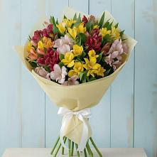 Букет цветов из:  Альстромерии в Майкопе