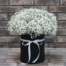 Цветочная композиция из Гипсофила в шляпной коробке #REPLACE_PRED# Майкопе