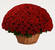 Премиум букет из: Розы в Майкопе