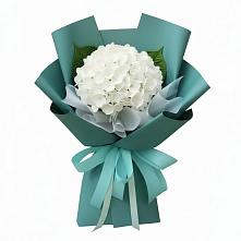 Букет цветов из:  Гортензия в Майкопе